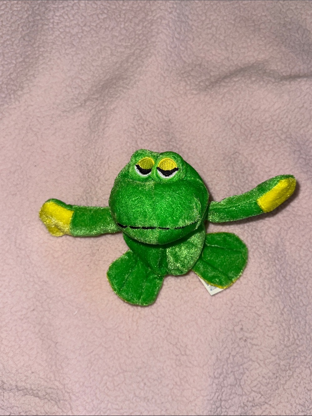 Frog Plush with Hidden Pocket